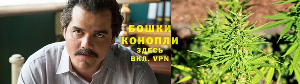 ПСИЛОЦИБИНОВЫЕ ГРИБЫ Магас