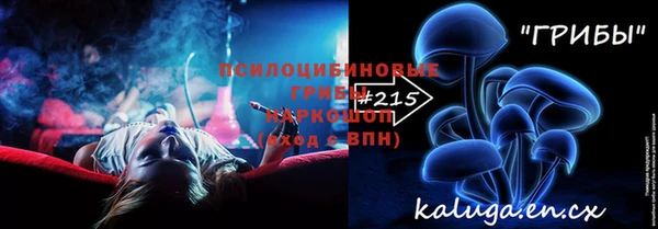 ПСИЛОЦИБИНОВЫЕ ГРИБЫ Магас