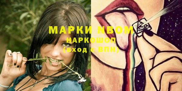ПСИЛОЦИБИНОВЫЕ ГРИБЫ Магас