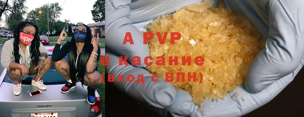 ПСИЛОЦИБИНОВЫЕ ГРИБЫ Магас